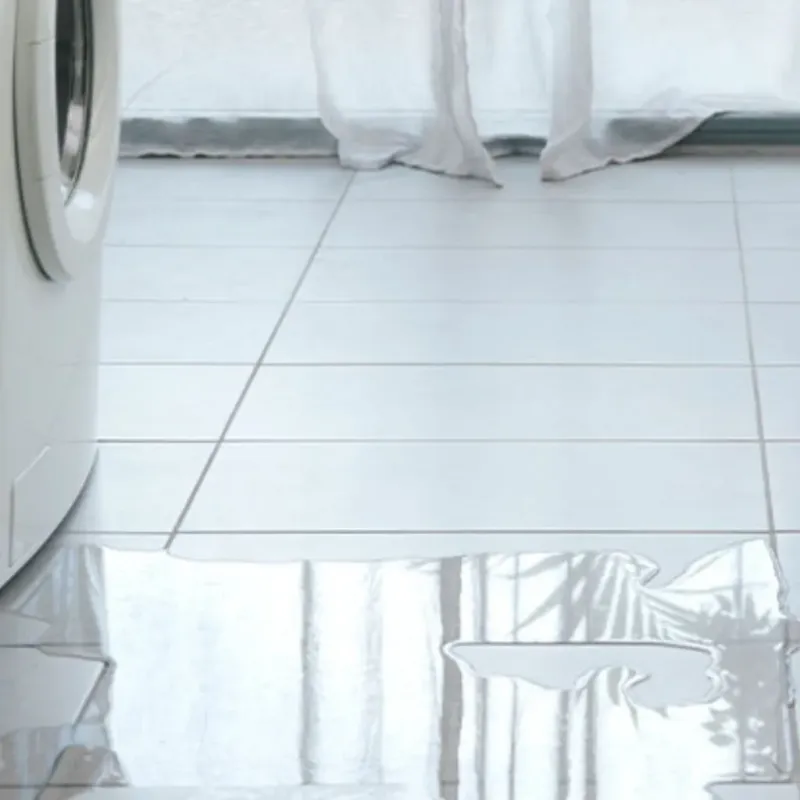 Appliance Leak Cleanup in Nassau County, FL