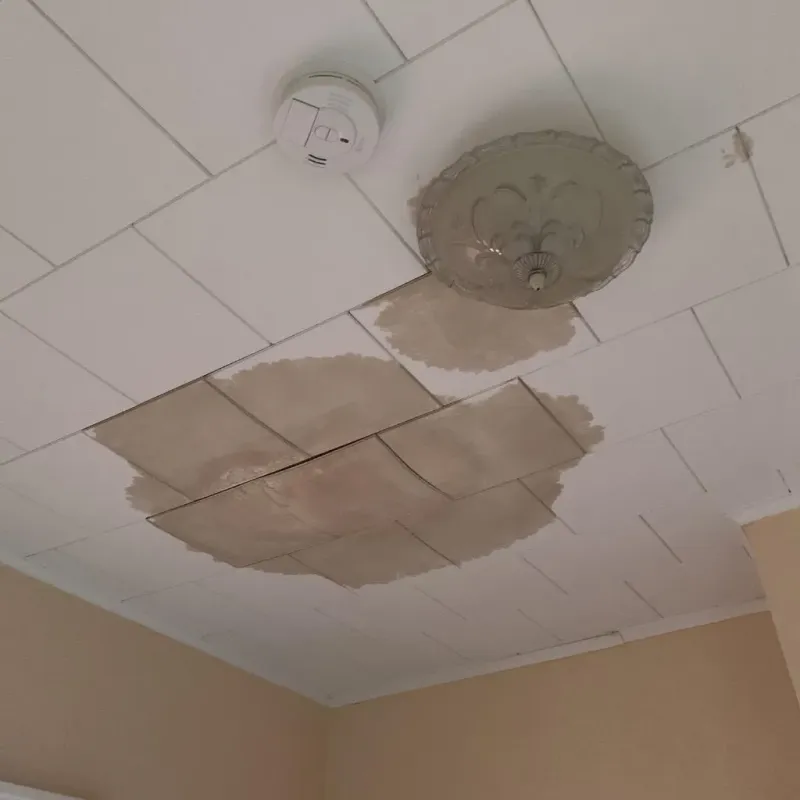 Ceiling Water Damage Repair in Nassau County, FL